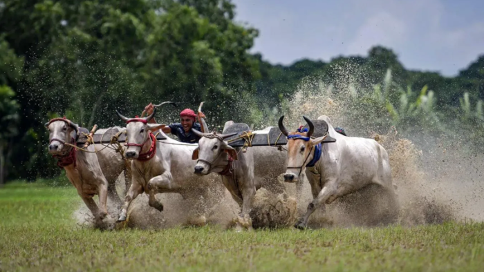 Andrei Stenin International Photo Contest Exhibition