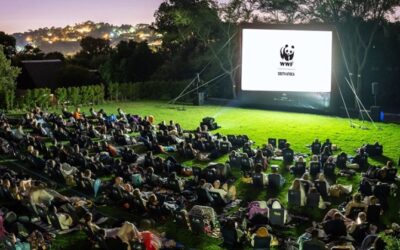 Earth Hour 2025 Outdoor Cinema Celebration at Kirstenbosch