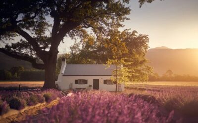 JAN Franschhoek at La Motte on Condé Nast Traveller Hot List for new restaurants!