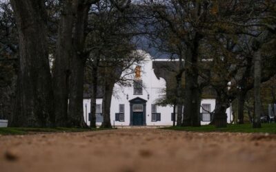 Groot Constantia – Celebrating 340 Years of Winemaking Legacy