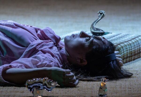 Speelgoed van glas , Glass Menagerie,
