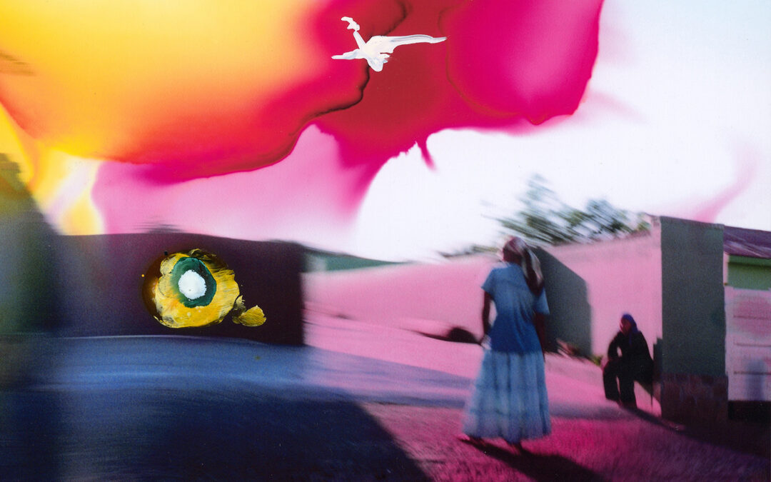 Hamilton Gallery presents Dave Robertson – Transition Series in July
