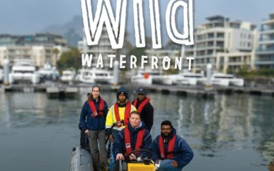 “Wild Waterfront” – a full-length documentary at The Labia