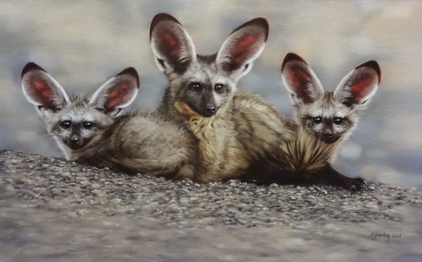 Wildlife 2025 previews at The Cape Gallery on ‘First Thursday’ the 4th of September