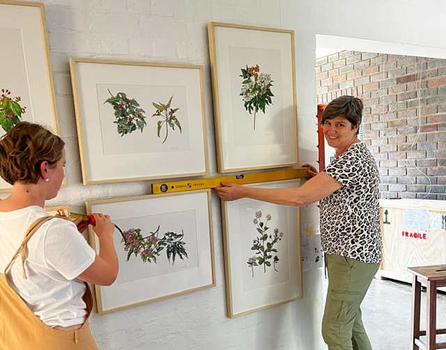 Botanical Art & Photography Exhibition at Stellenbosch University Botanical Garden opens 13 September