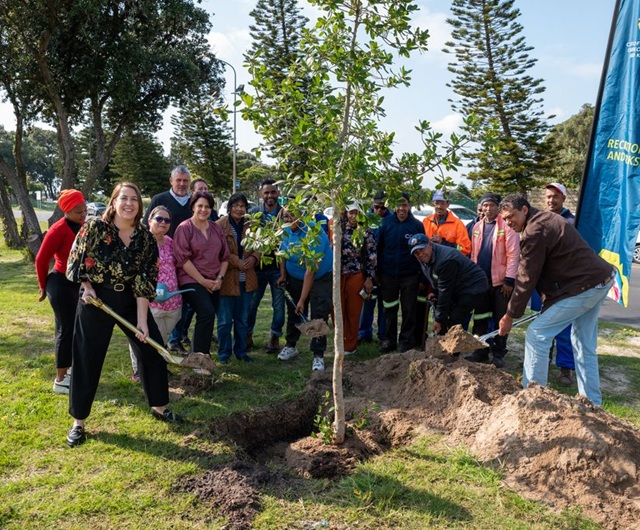 Cape Town launches Arbor Month at Westridge Gardens with planting of Milkwood (Sideroxylon inerme)