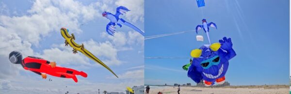 Cape Town International Kite Festival,