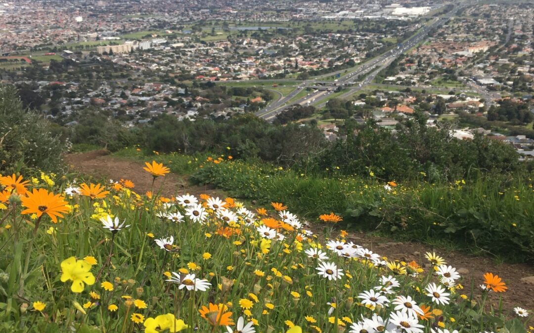 Free access to City of Cape Town’s nature reserves this Heritage Day – 24 September