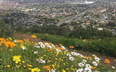 Free access to City of Cape Town’s nature reserves this Heritage Day – 24 September
