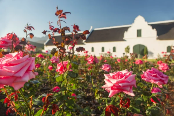 La Motte Rose Garden,