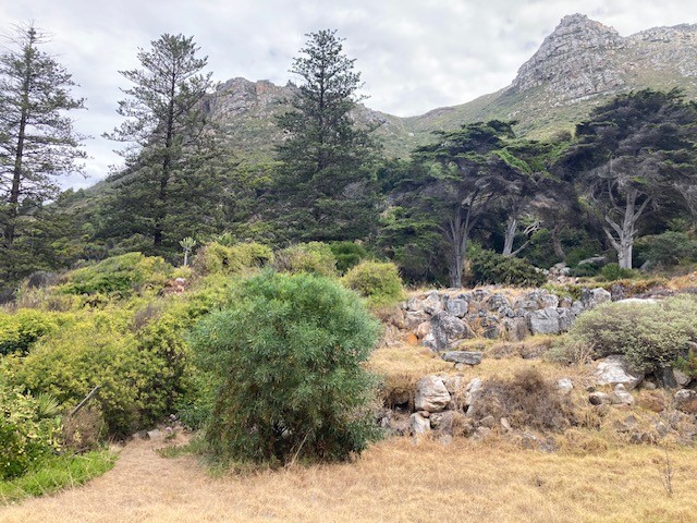Cape Town secures Battle of Muizenberg & Javia Mosque as Provincial Heritage Sites