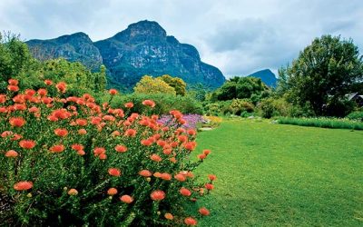 Nature activities in Cape Town – highlights by Getaway